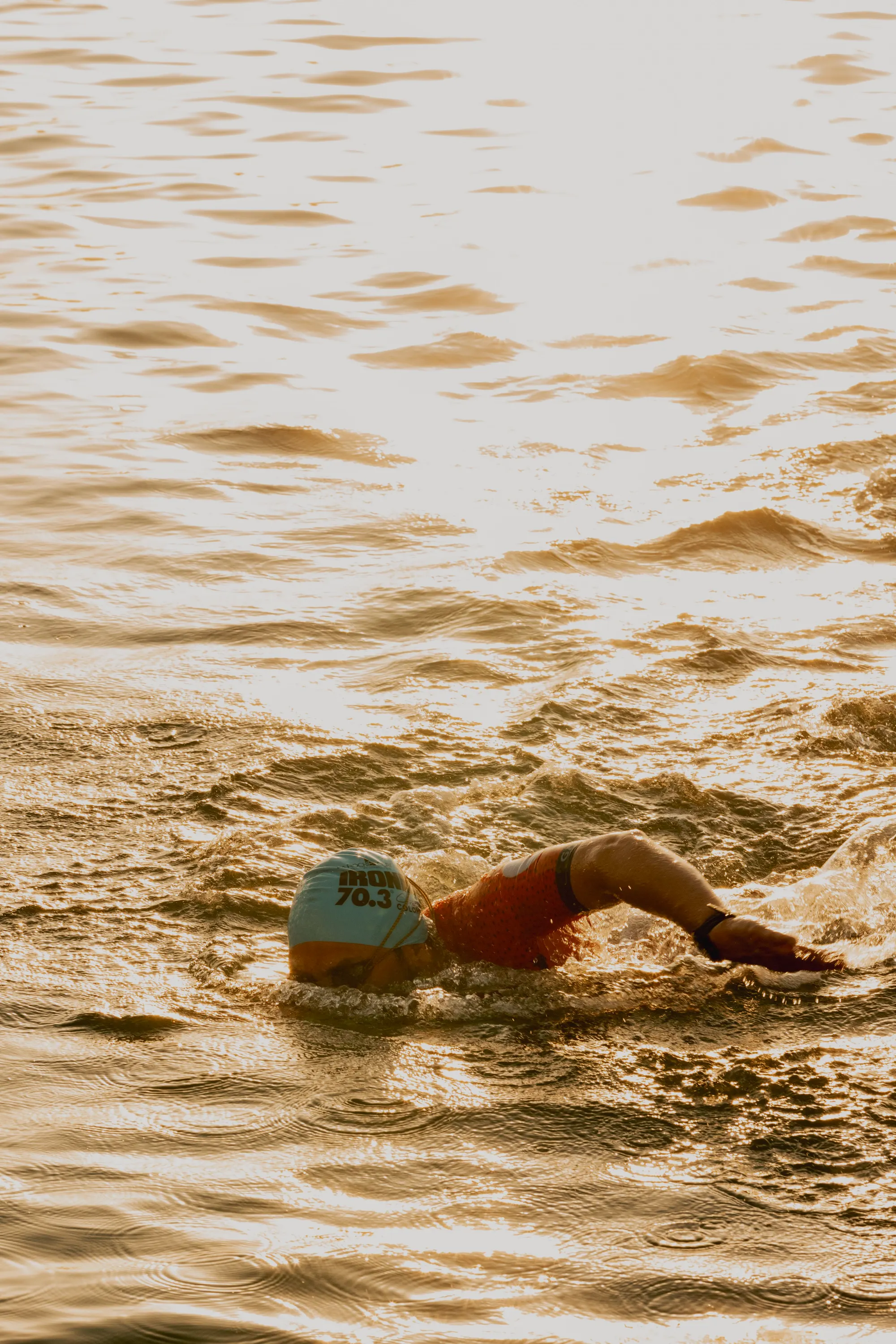 A swimmer in warm evening light on open water